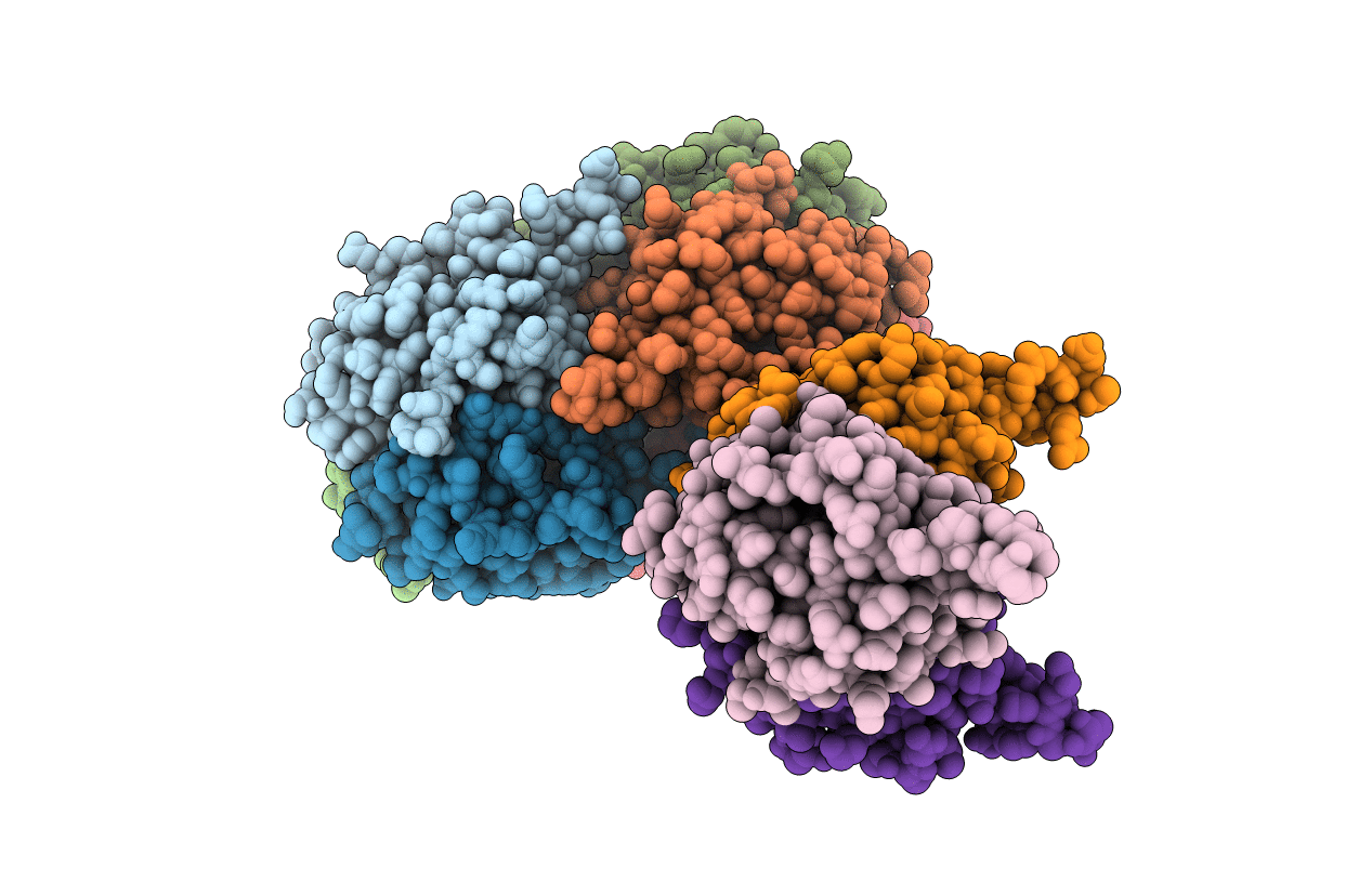 6IZH image