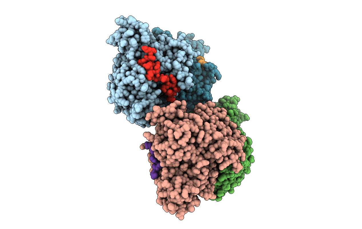 6J0X image