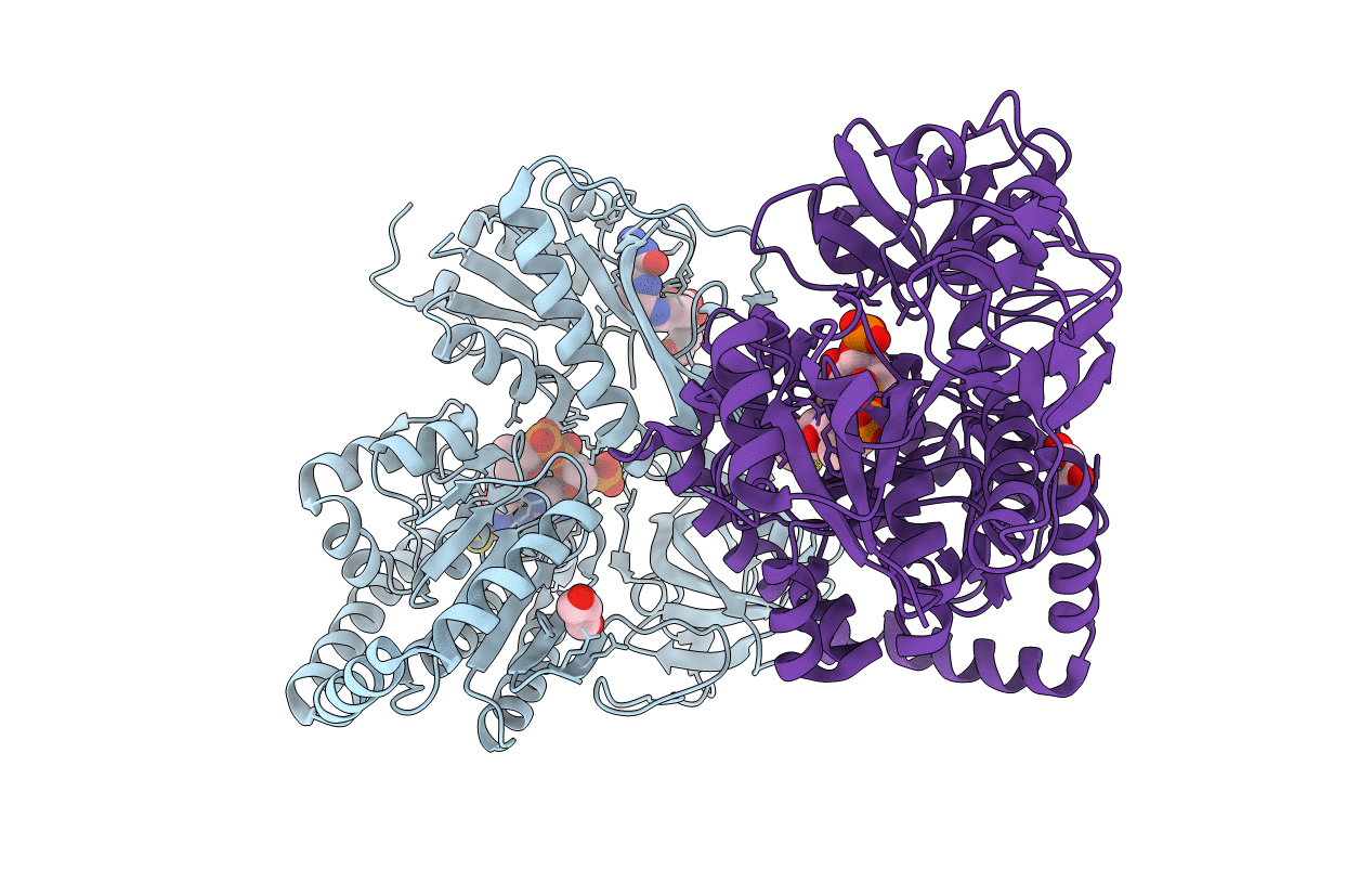 6J1F image