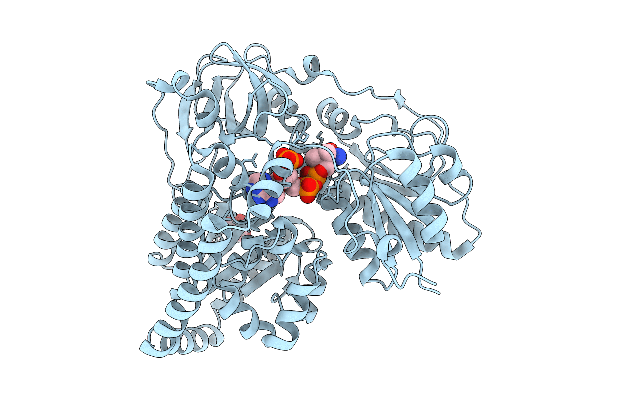 6J1I image