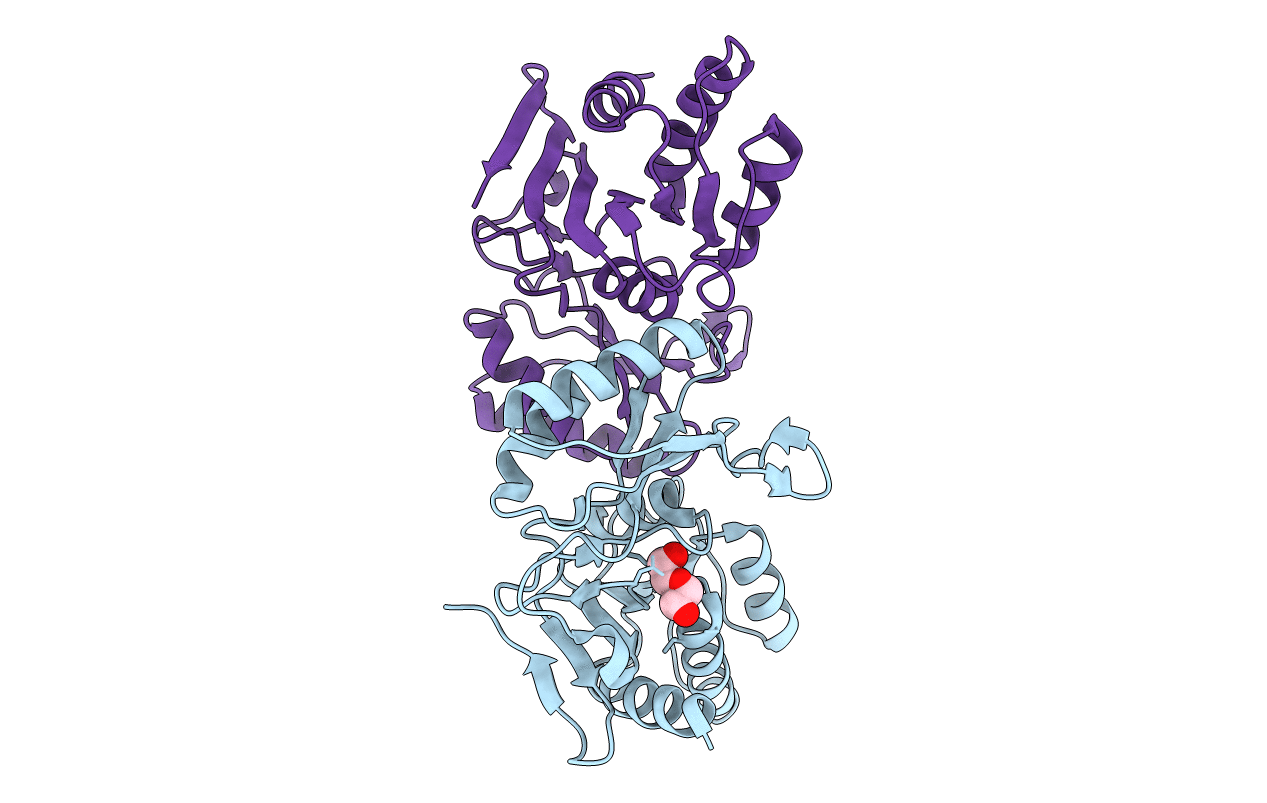 6J1K image