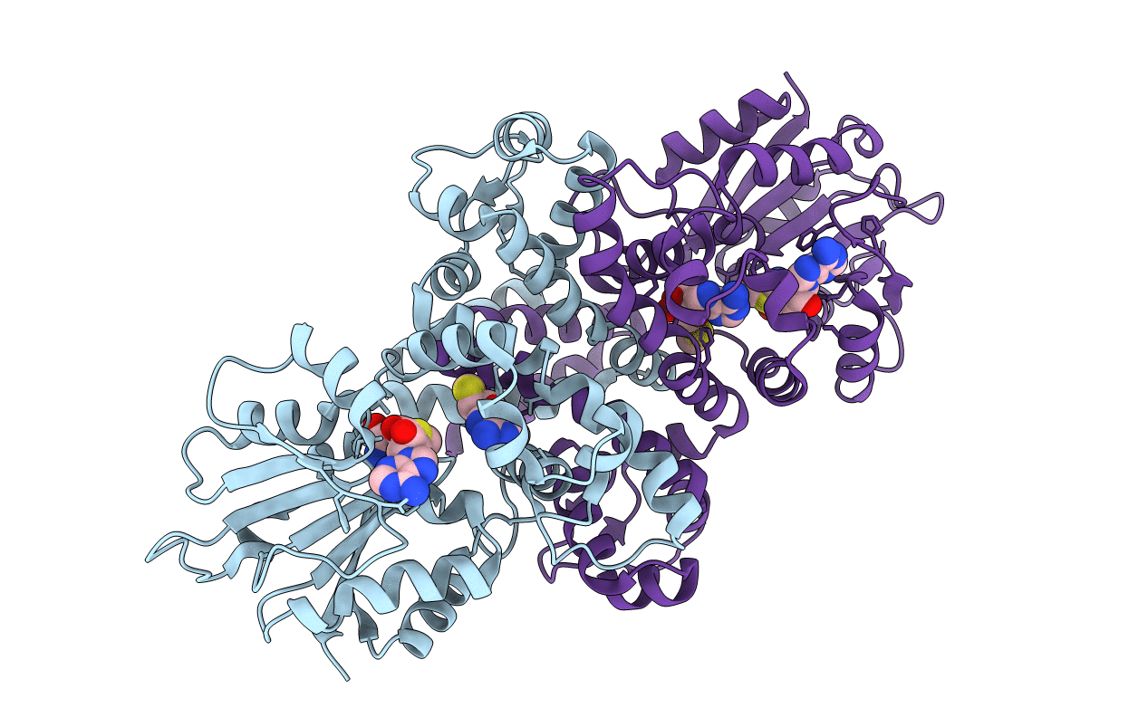 6J1O image