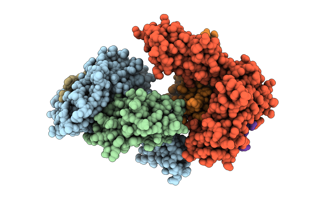 6J2G image