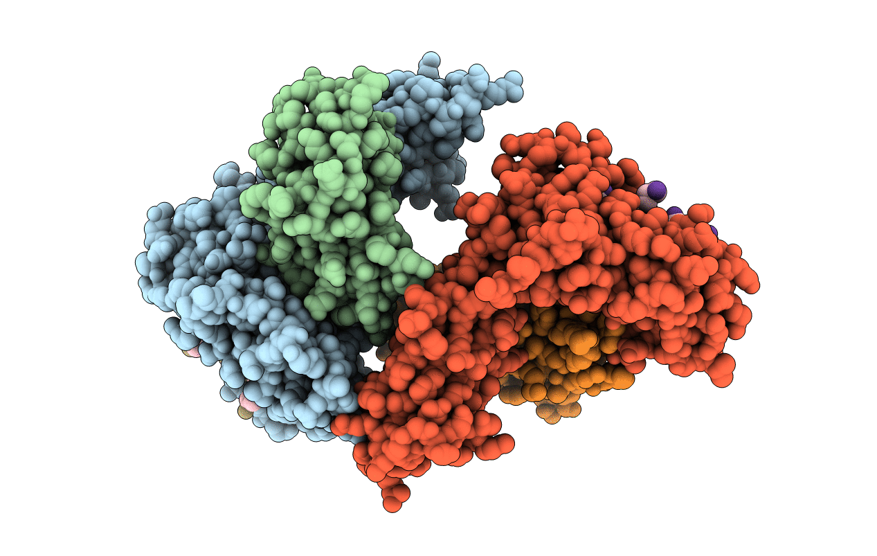 6J2I image