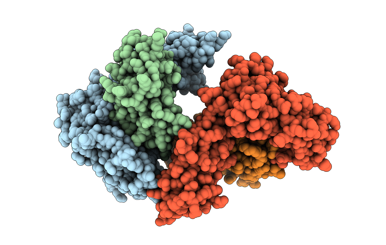 6J2J image