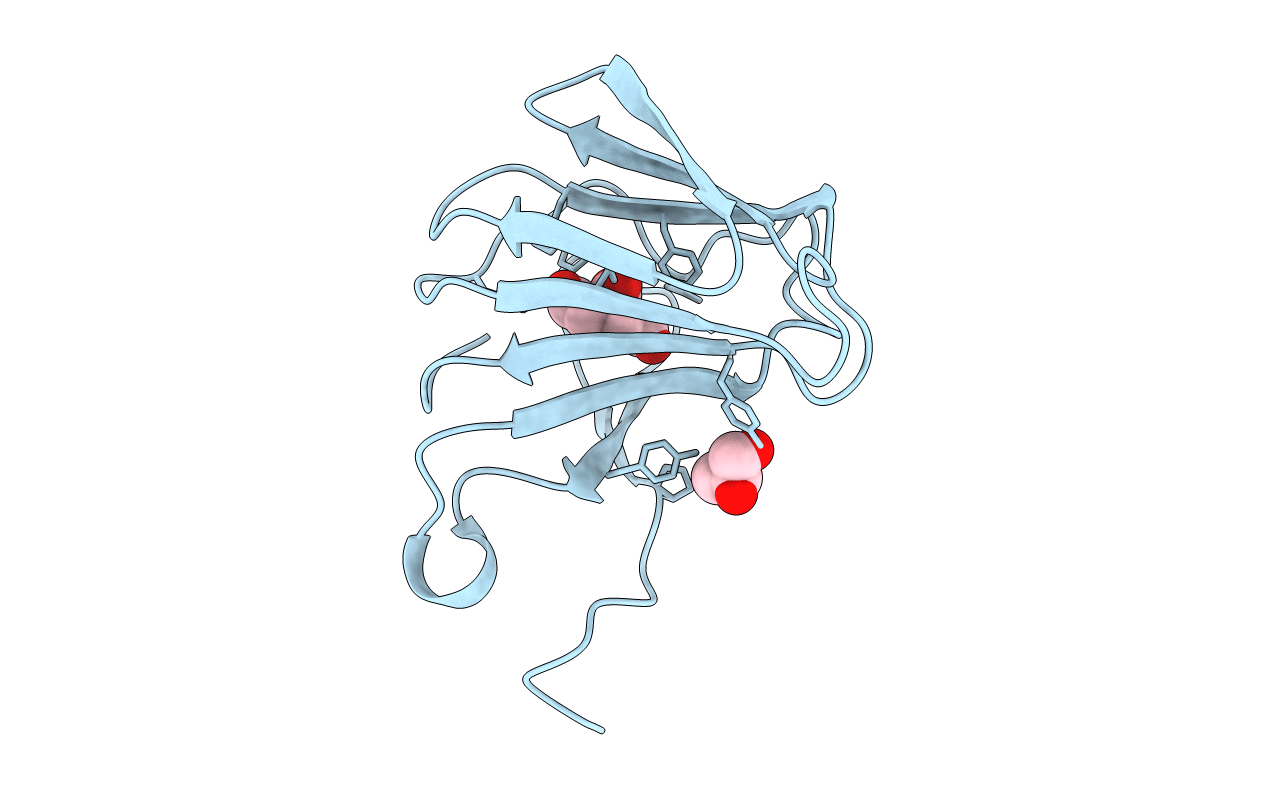 6J4D image