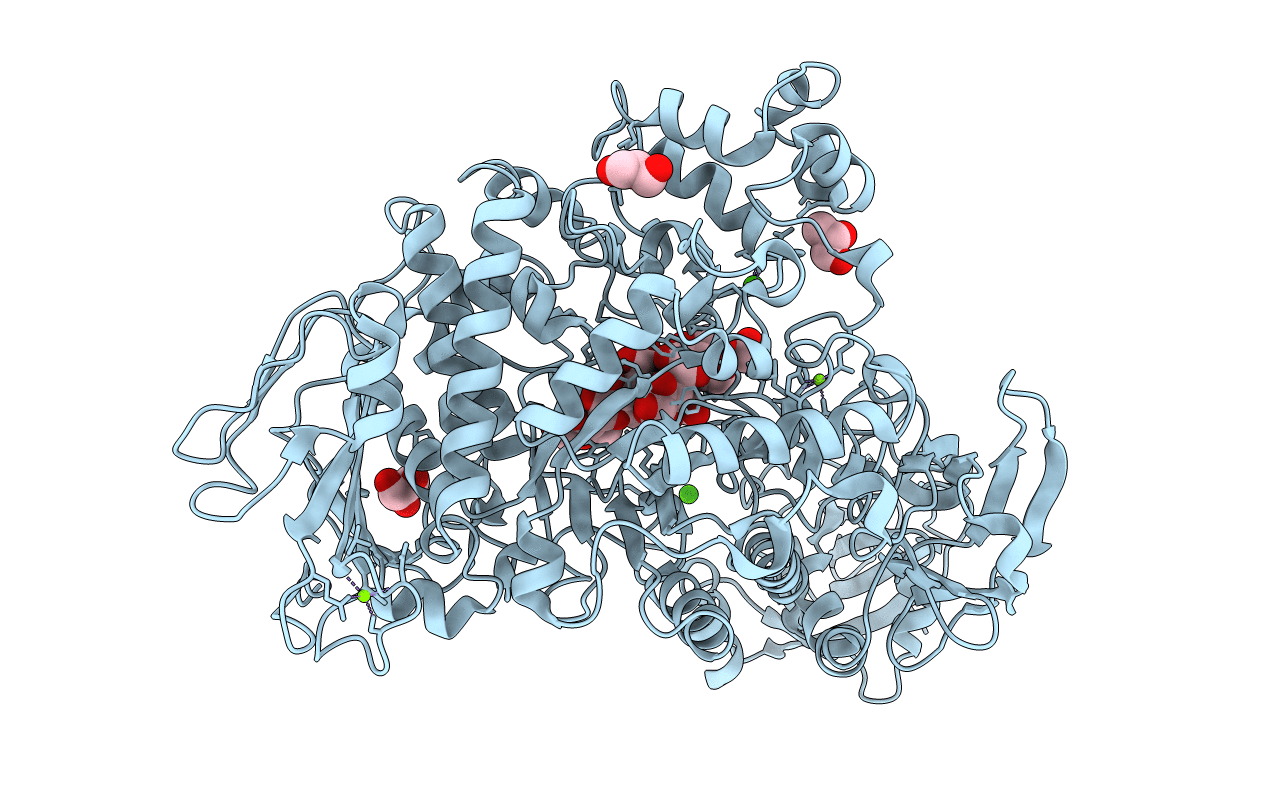 6J4H image
