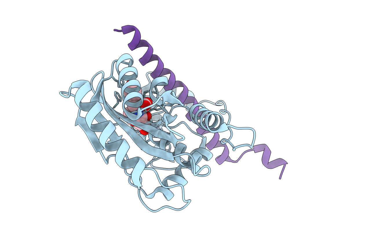6J4P image