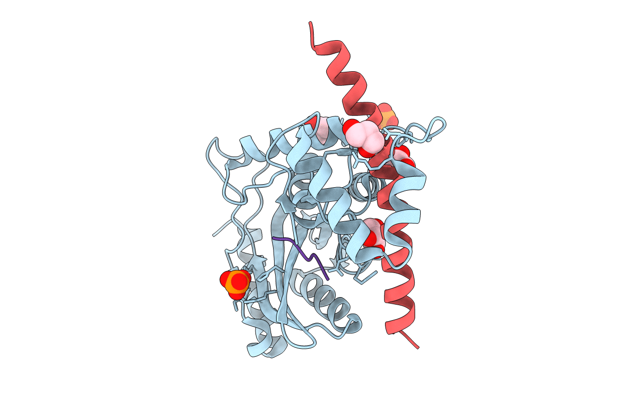 6J4V image