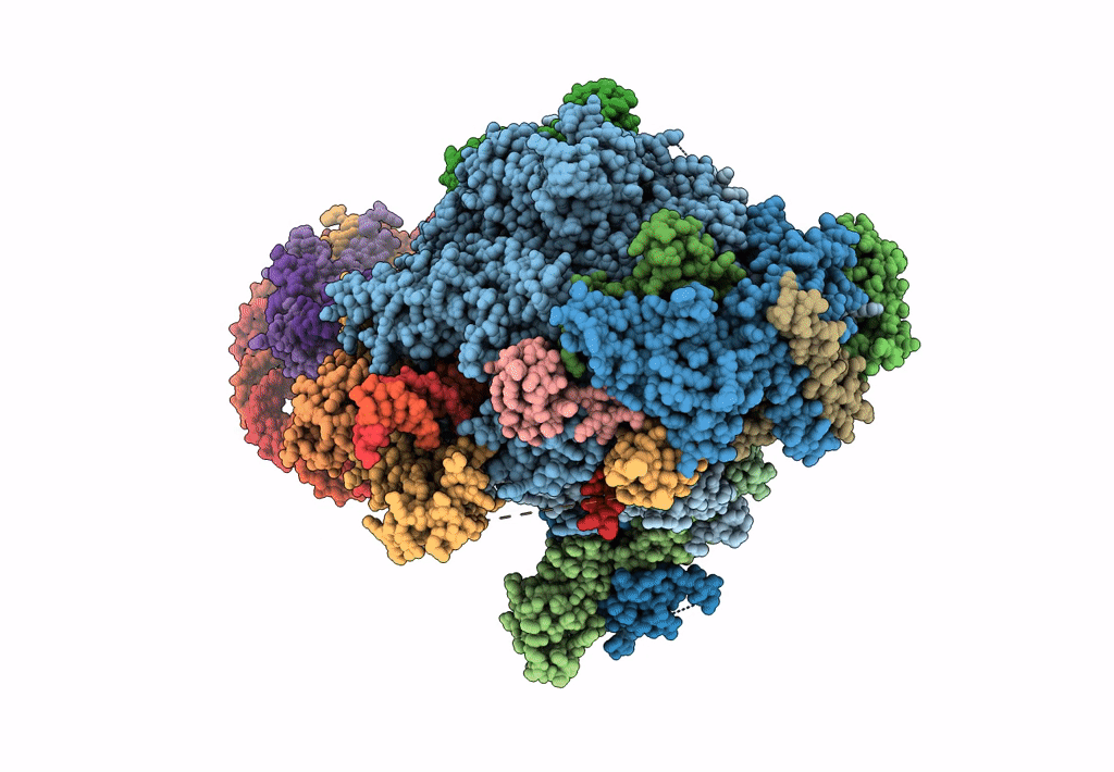 6J4X image