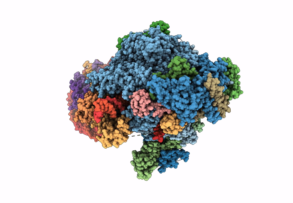 6J4Y image