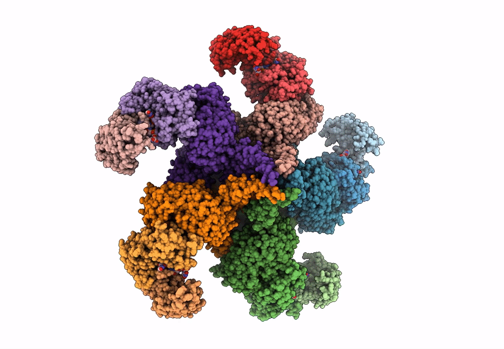 6J5T image