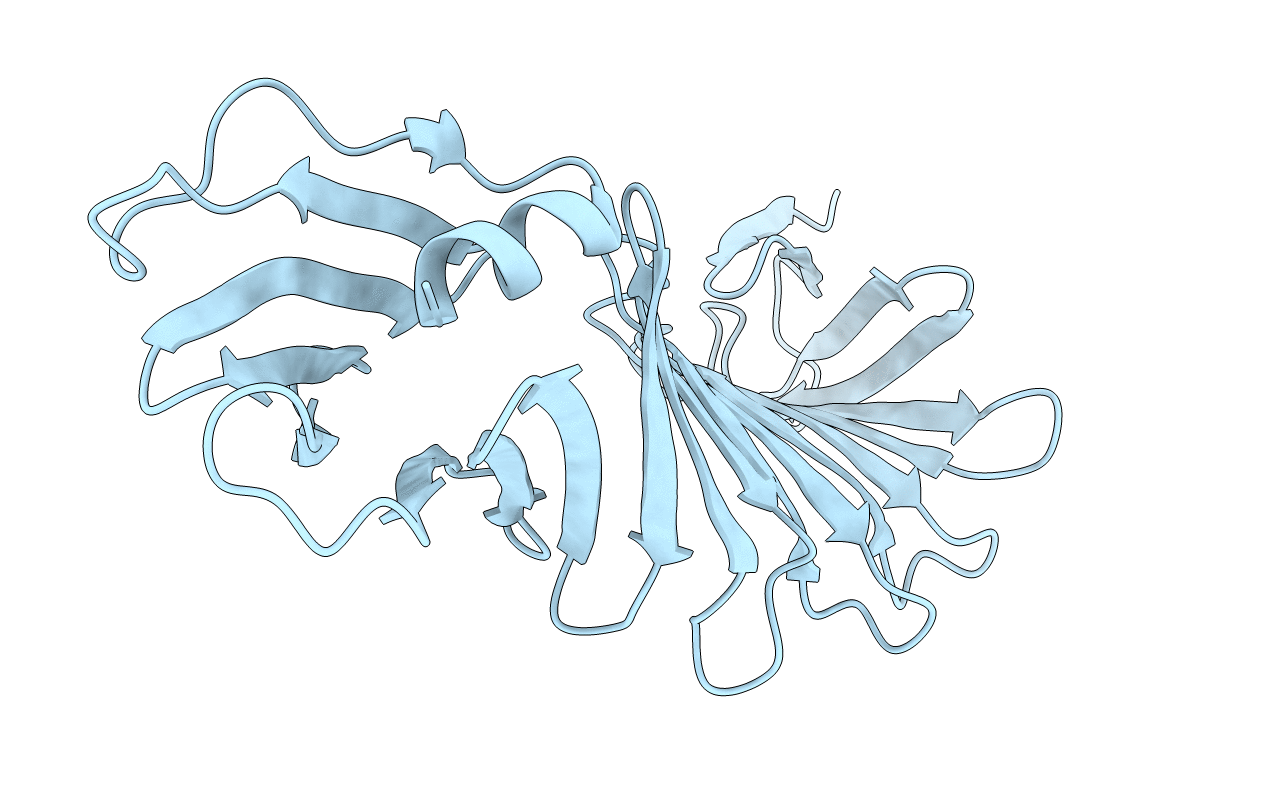 6J6C image