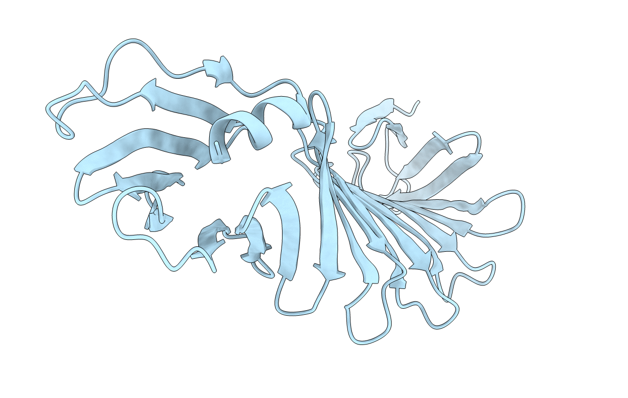 6J6E image