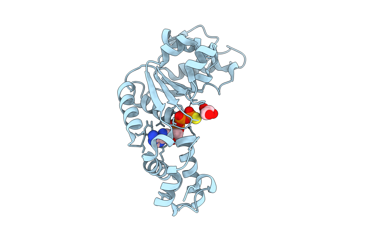 6J7E image