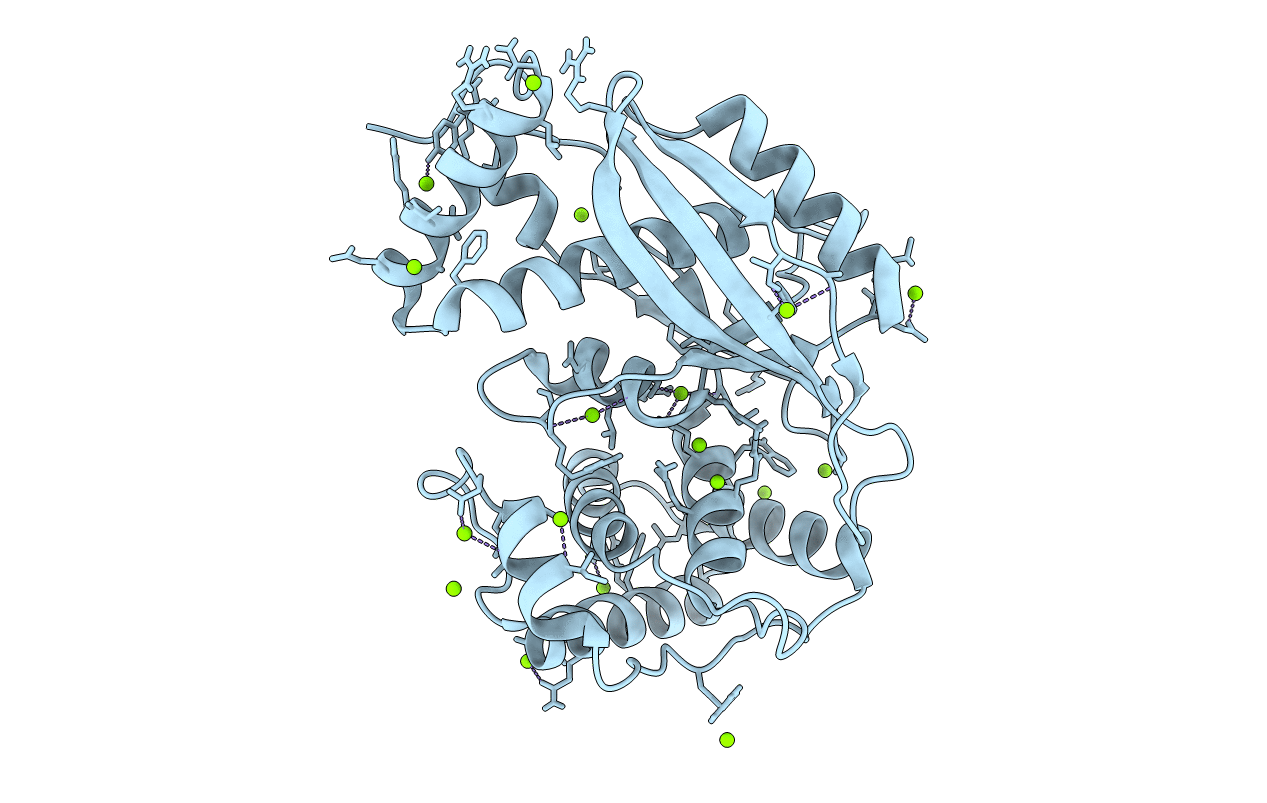 6J7R image
