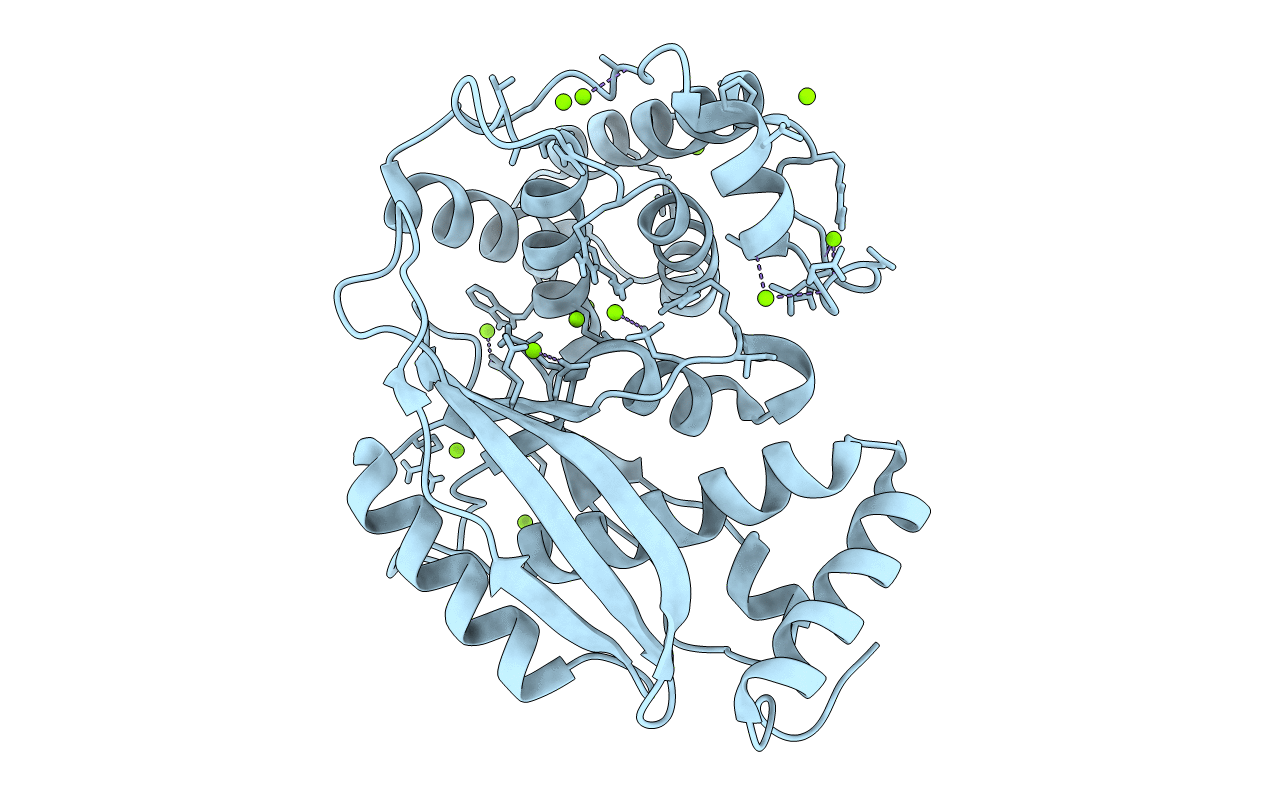 6J7S image