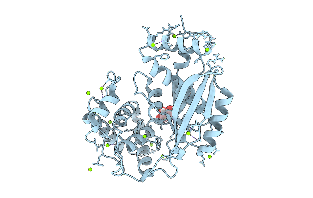 6J7T image