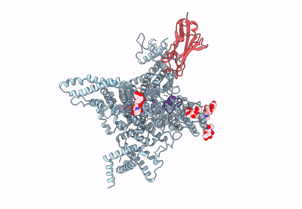 6J8E image