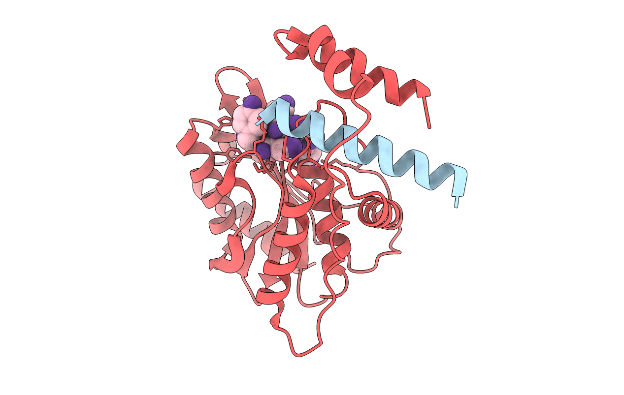 6J8F image