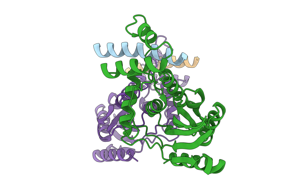 6J8N image