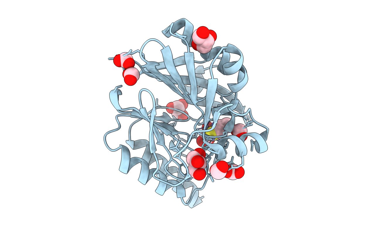 6J8R image