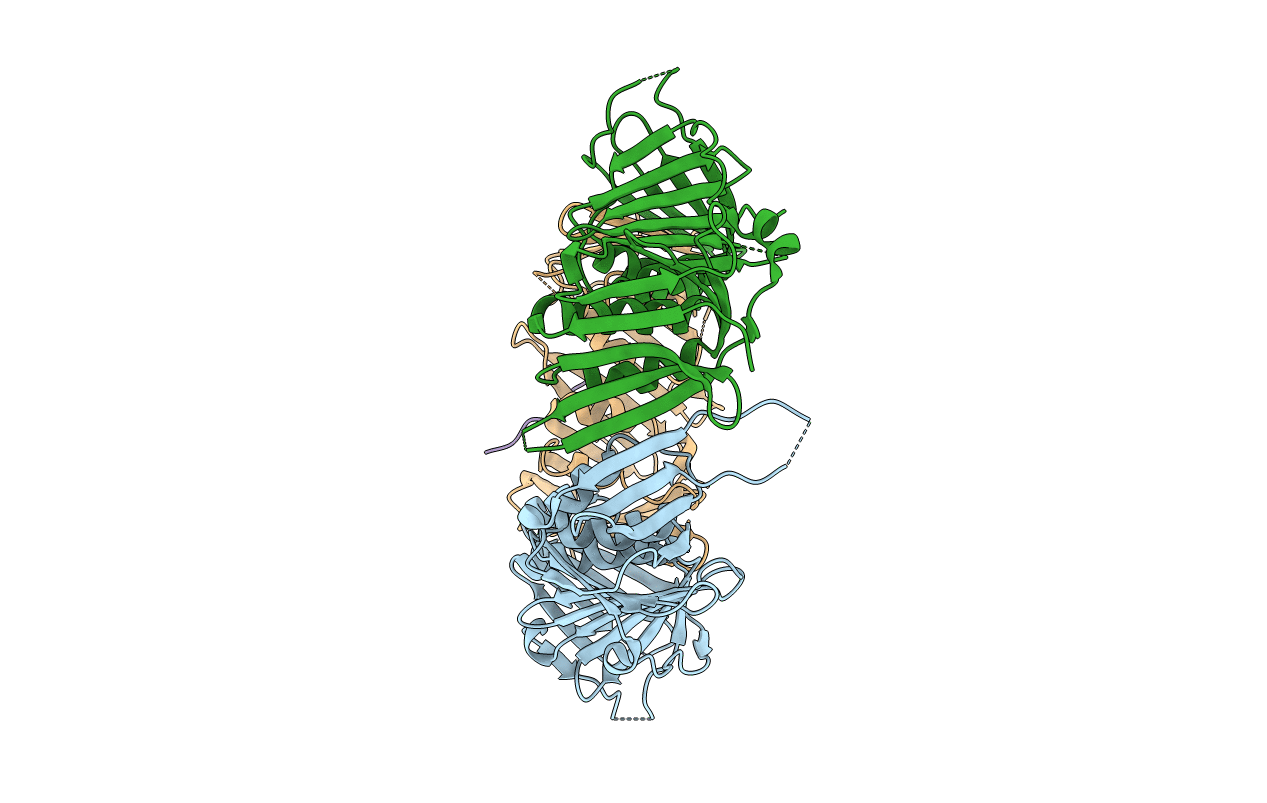 6J8Y image