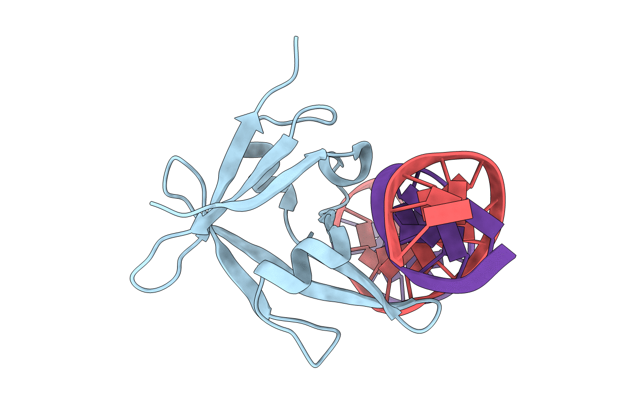 6J9A image