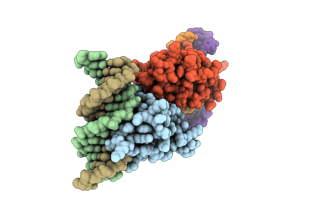 6J9C image