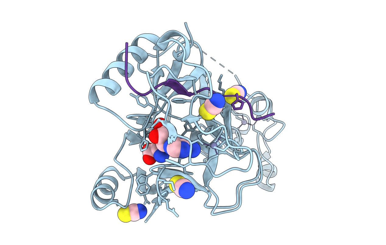 6J9J image