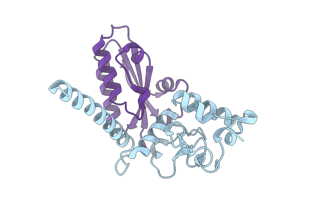 6J9N image
