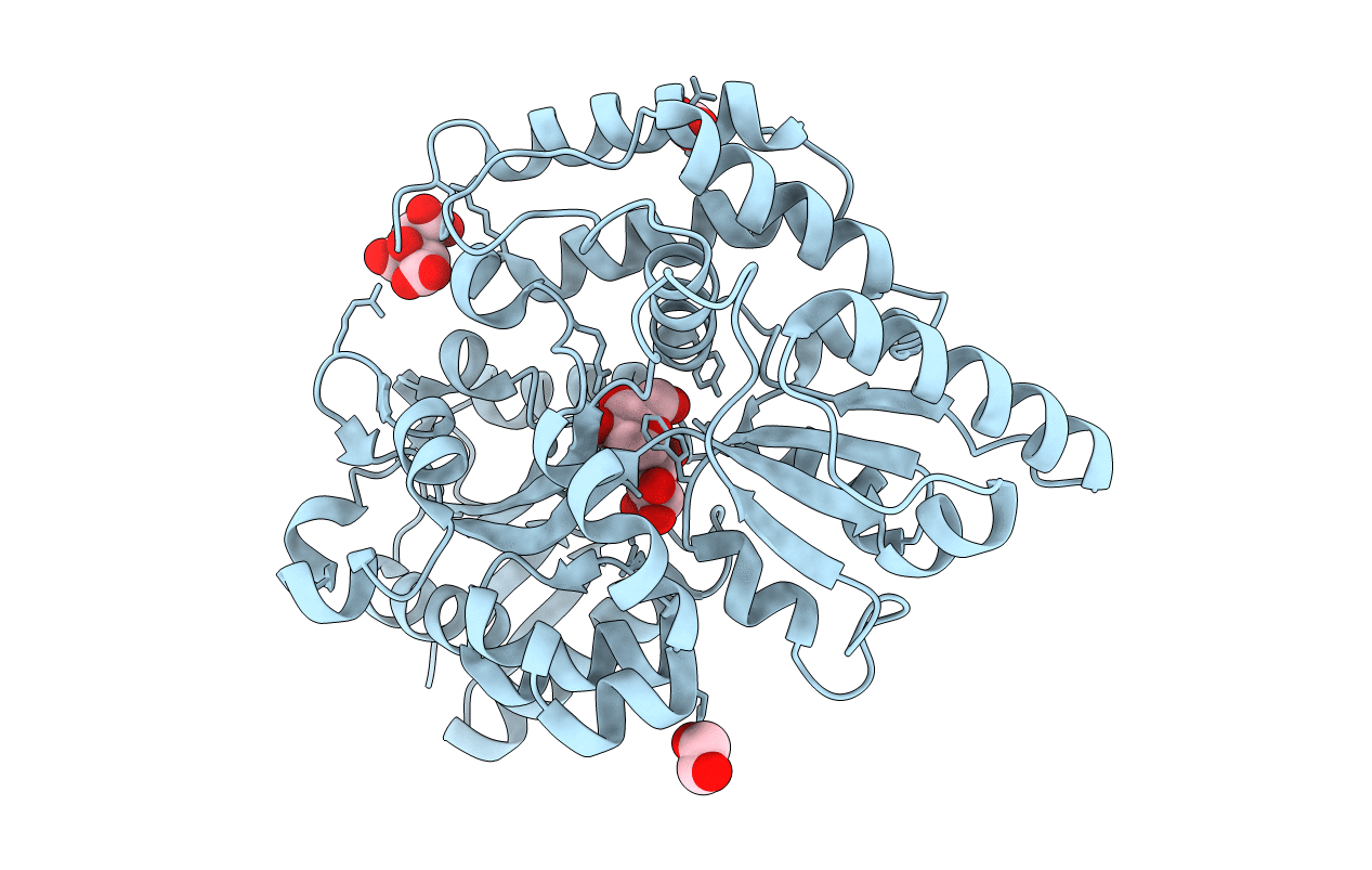 6J9Y image