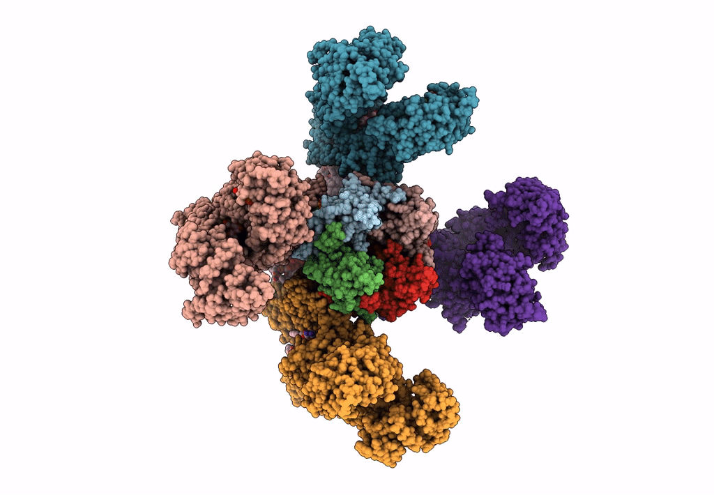 6JB1 image