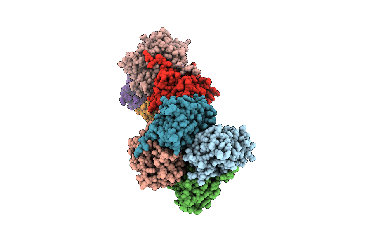 6JC6 image