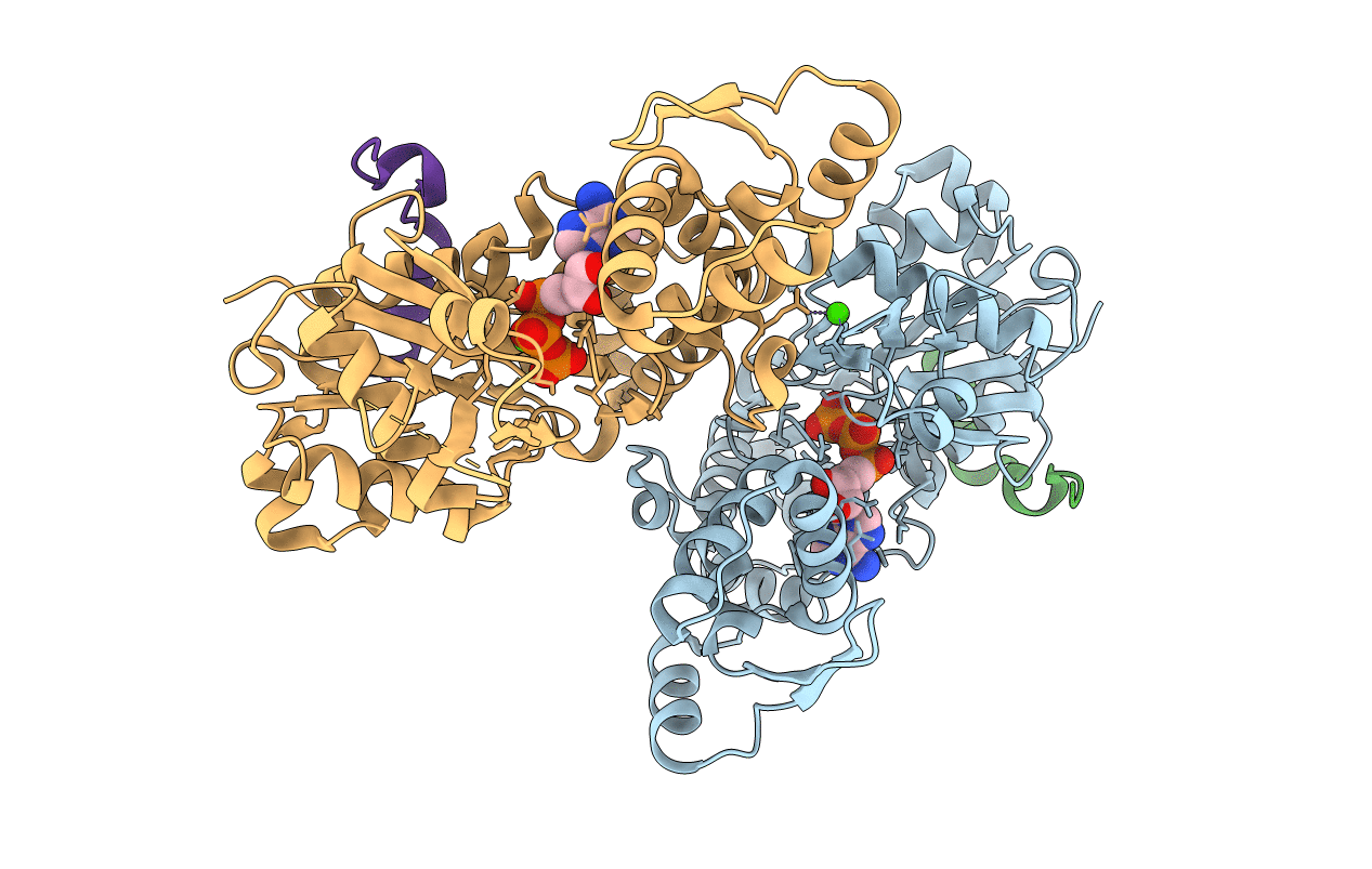 6JCU image