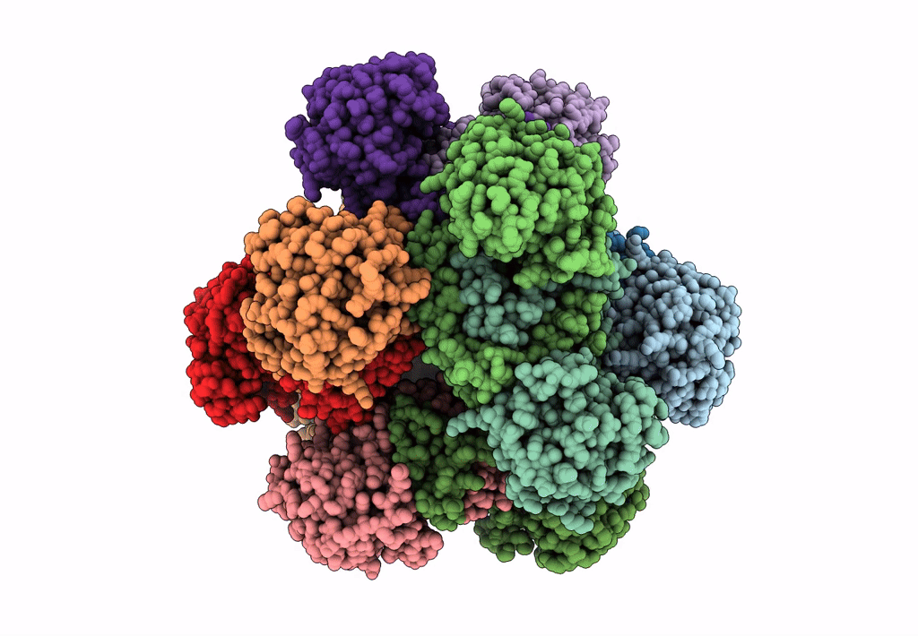 6JCV image