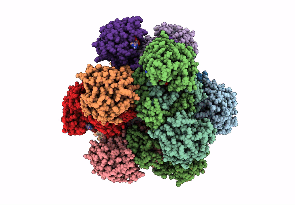 6JCZ image