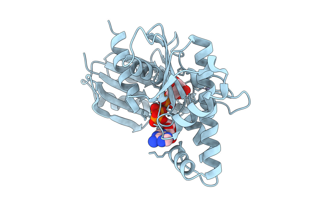 6JDB image