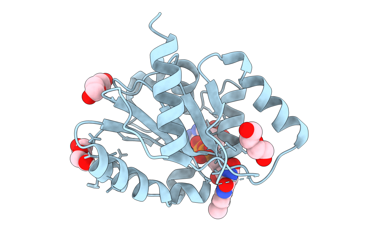 6JDD image