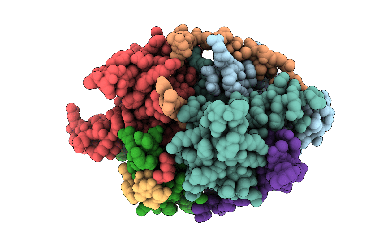 6JDG image