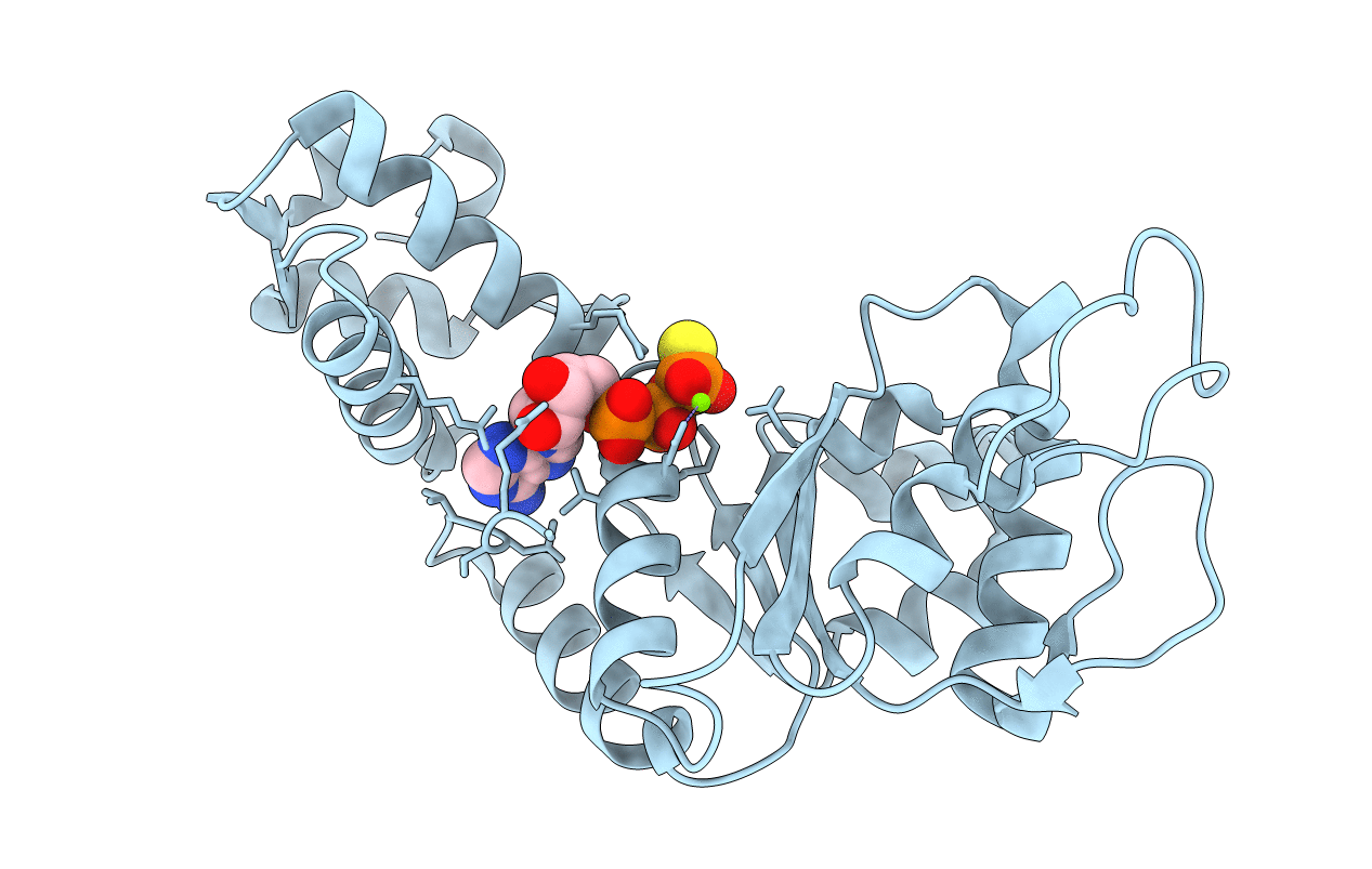 6JDI image