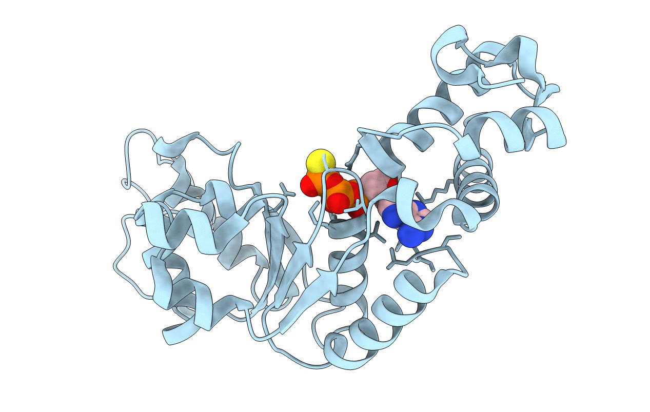 6JDL image