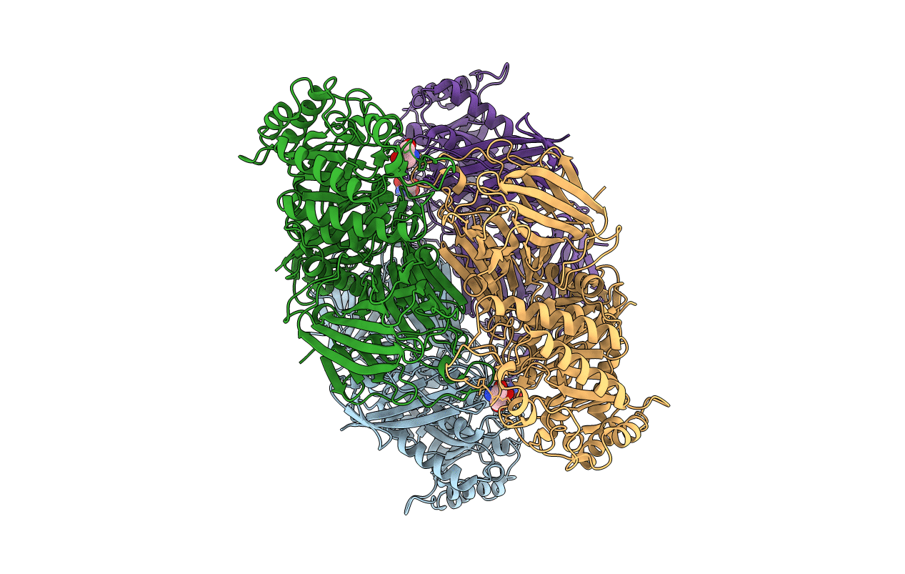 6JHP image