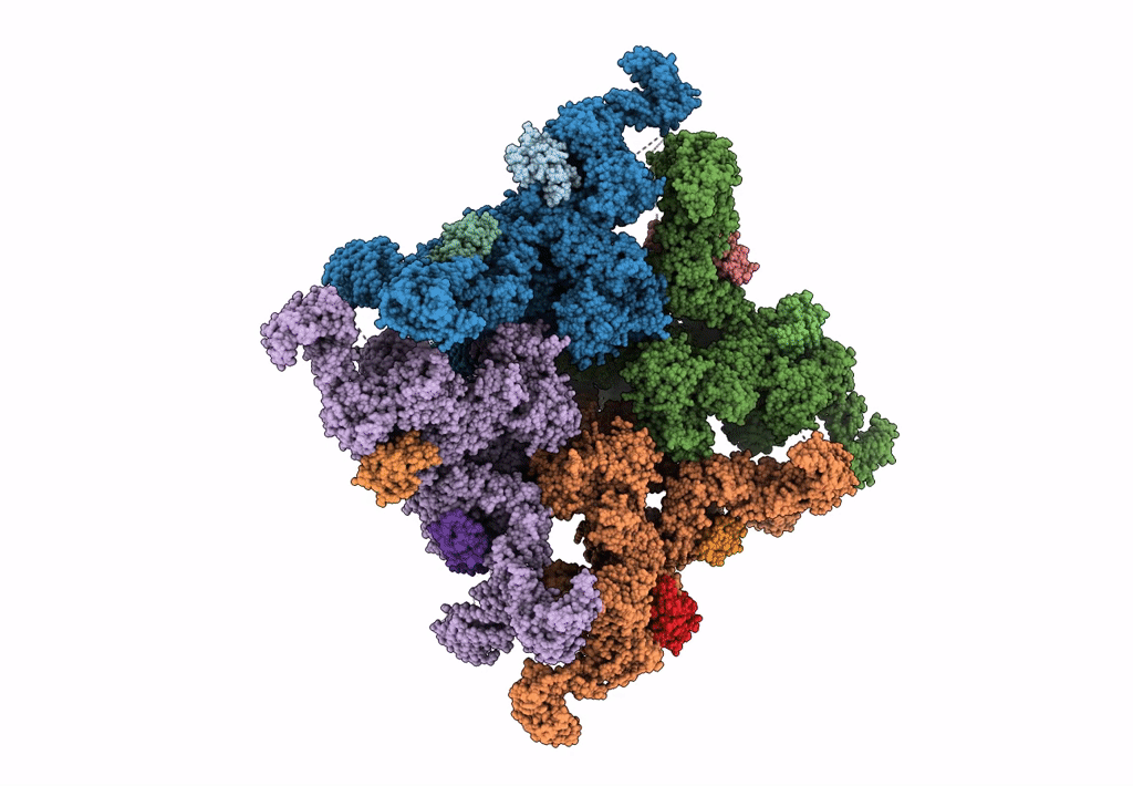 6JII image