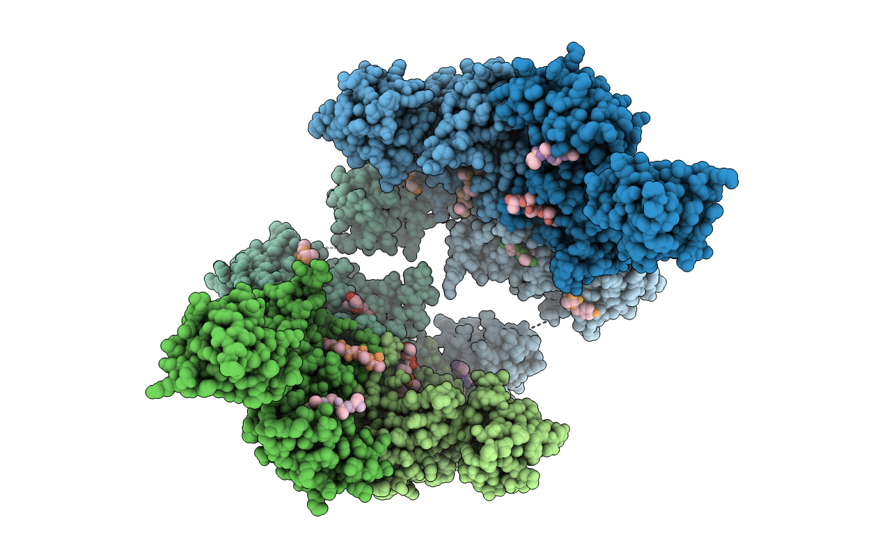 6JJL image