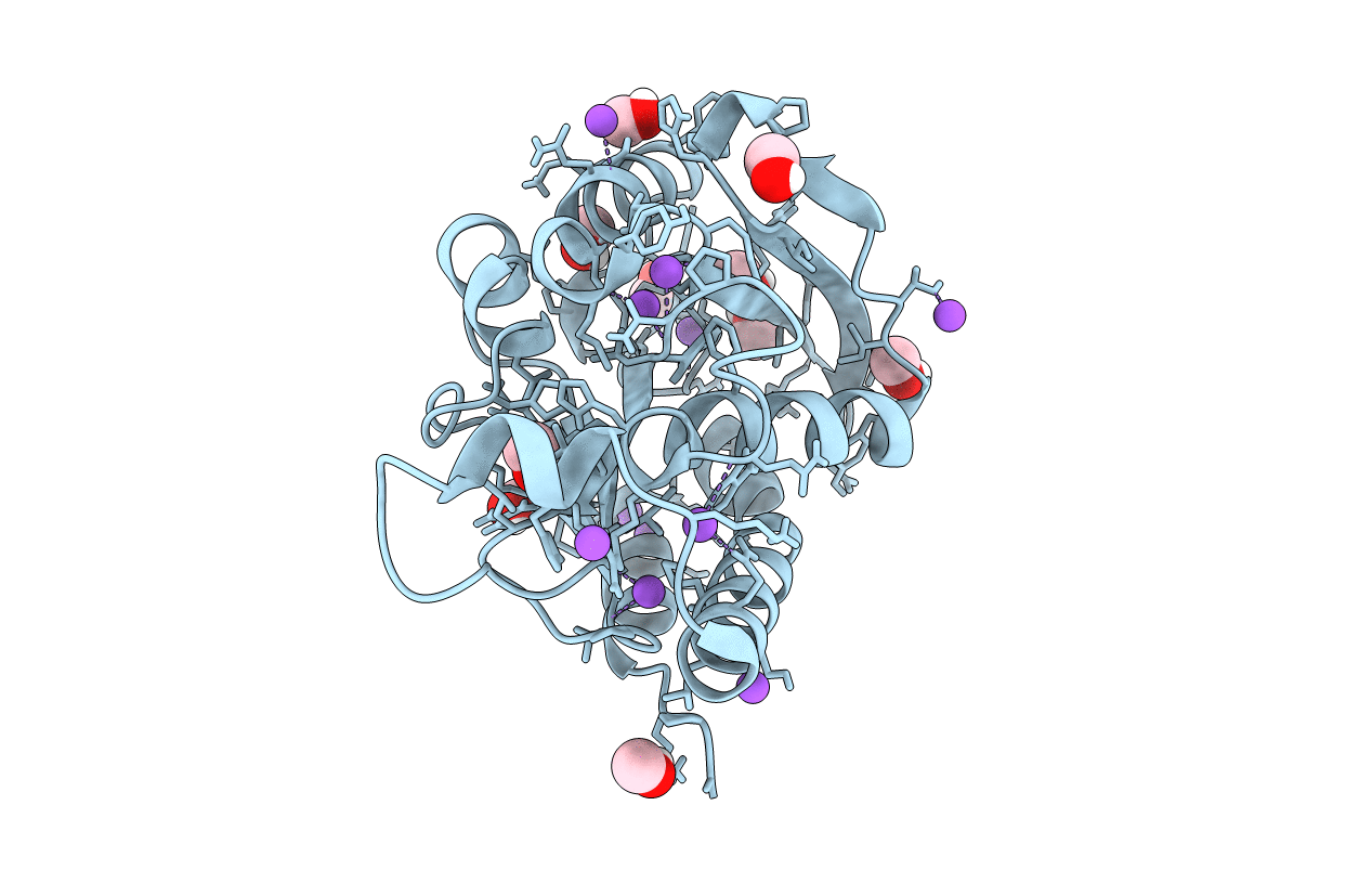 6JKX image