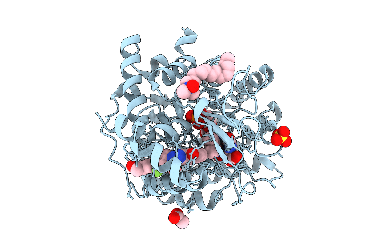 6JMD image