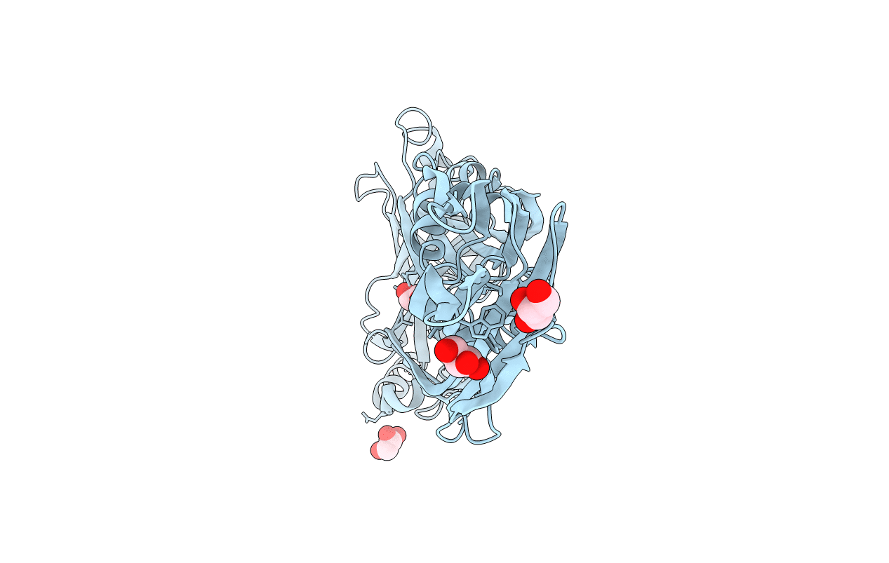 6JMP image