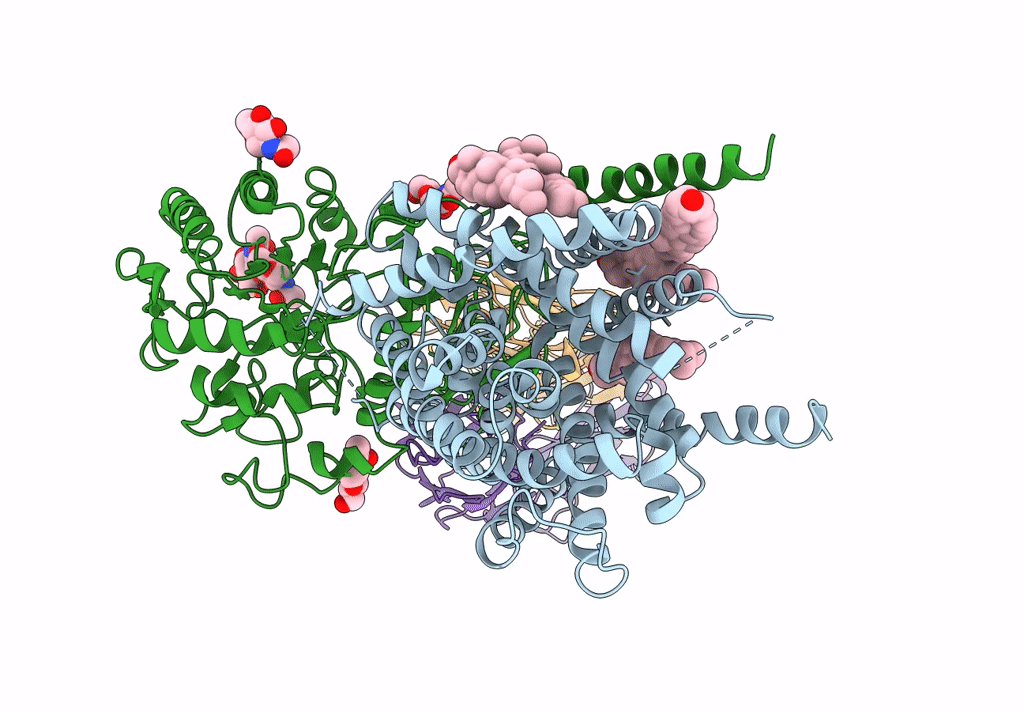 6JMQ image