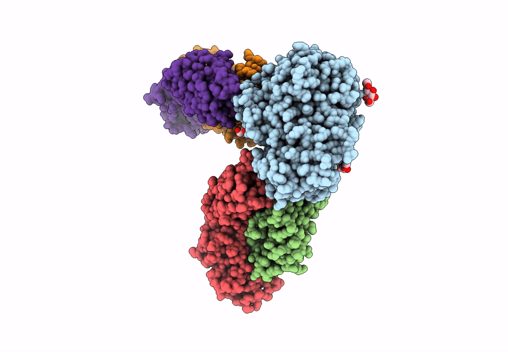 6JMR image